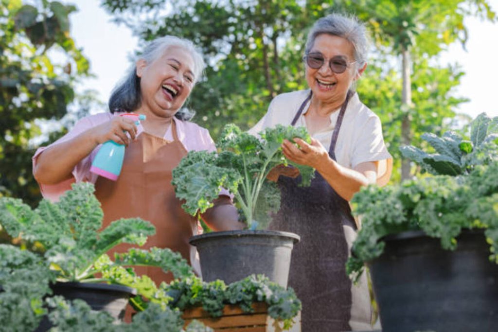 Two women enjoying gardening for health and wellness outdoors.